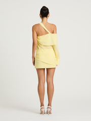 inez mini dress Inez Mini Dress – BENNI